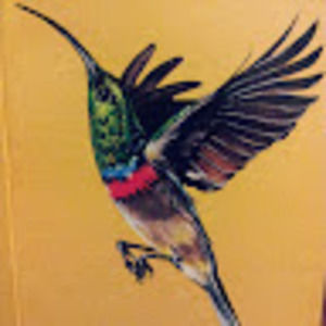 Meet your Posher, Ursula